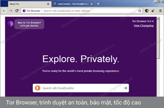 elementary tor browser гирда