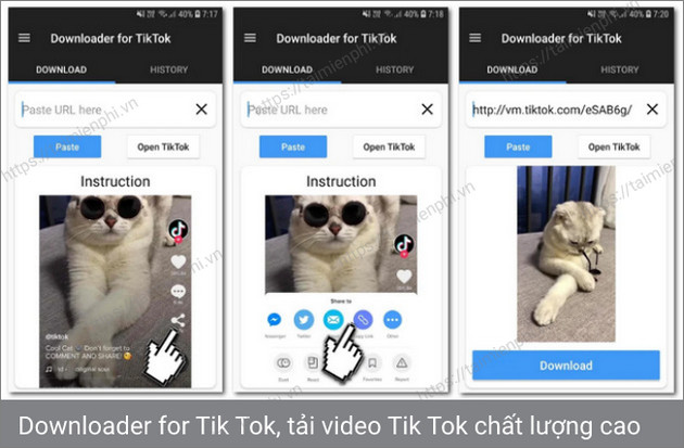 downloader for tik tok