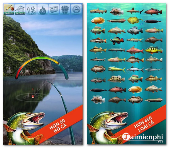 Tải Let'S Fish Cho Android, Iphone - Game Câu Cá Cho Điện Thoại -Taimi