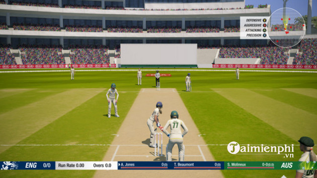cricket 19