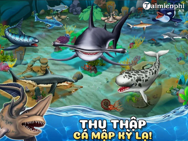 Tải Shark World Cho Android - Game Thế Giới Cá Mập Cho Di Động -Taimie