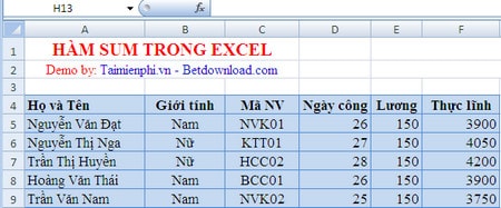 Hàm SUM trong Excel, tính tổng theo hàng dọc 1