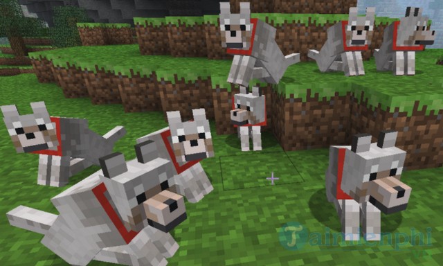 Cách thuần phục mèo rừng, chó sói, ngựa trong Minecraft