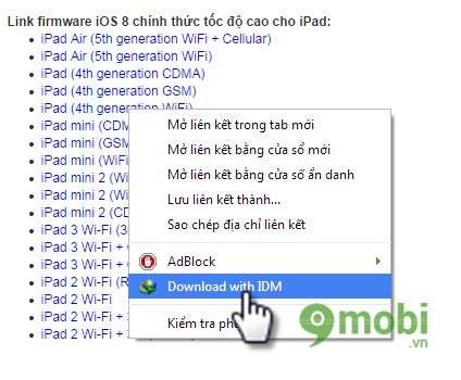 Hướng dẫn tải iOS 8 tốc độ cao bằng IDM huong dan tai ios 8 toc do cao bang idm