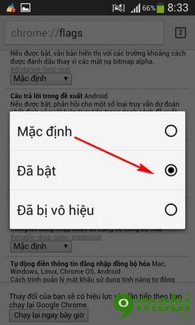 bật tiên đoán của Google Chrome