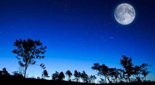 Tả một đêm trăng đẹp 1
