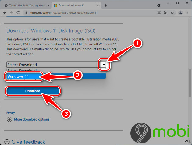 cach tai file iso windows 11 tu microsoft nhanh nhat