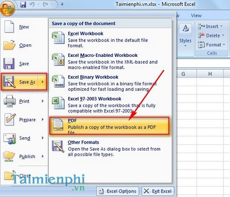 luu excel thanh pdf