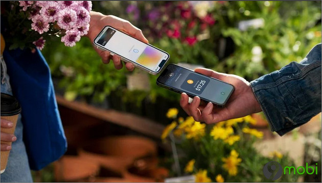 Apple gioi thieu tinh nang Tap to Pay thanh toan khong tiep xuc