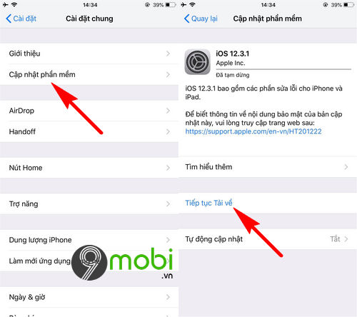cach khac phuc loi vang ung dung tren iphone xs max
