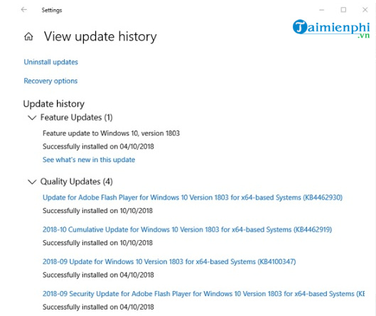 Các lỗi khi cập nhật Windows 10 May 2019