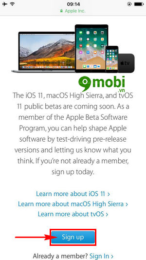 Cách cập nhật iOS 11 cho iPhone, iPad
