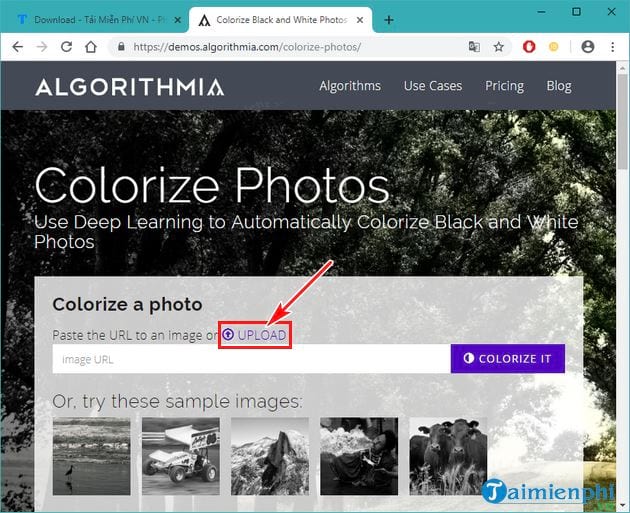 Đừng tốn nhiều thời gian tìm kiếm phần mềm chuyển đổi ảnh đen trắng thành ảnh màu! Hãy truy cập trực tuyến và tận dụng các công cụ đơn giản để tạo ra những tác phẩm ảnh màu độc đáo chỉ trong vài phút.