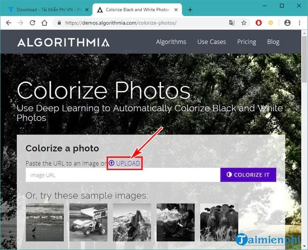 Cách chuyển ảnh đen trắng thành ảnh màu trực tuyến không cần phần mềm