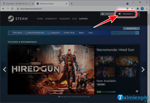 How to play the game steam?