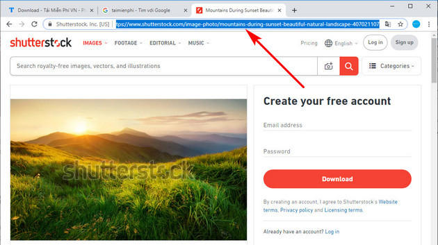 Cách tải ảnh trên Shutterstock miễn phí bằng công cụ Nohat.cc