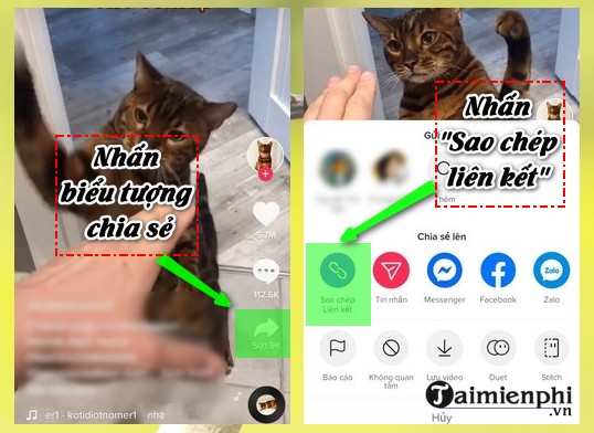 Cách tải video TikTok không cần cài đặt App