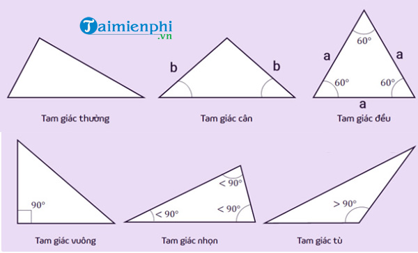 Công thức tính diện tích tam giác thường, vuông, cân, đều, bài tập có