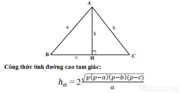 cách tính chiều cao trong tam giác 2