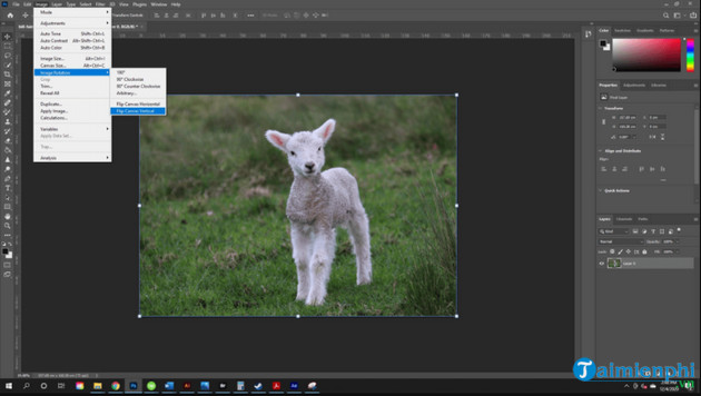 Cách xoay ảnh trong Photoshop, lật ngược hình ảnh