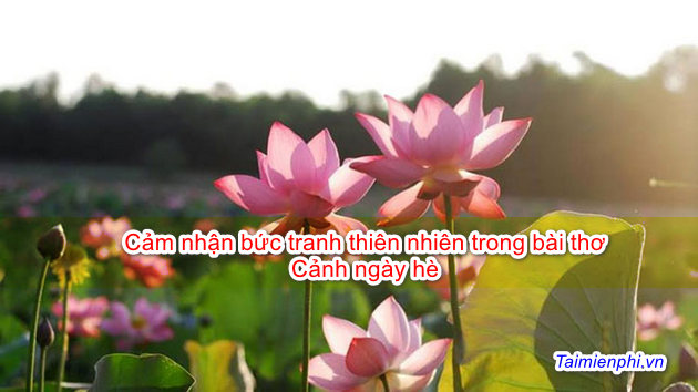 Cảm nhận bức tranh thiên nhiên trong bài thơ Cảnh ngày hè