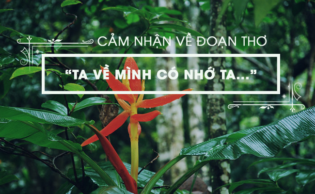 cam nhan ve doan tho minh ve minh co nho ta