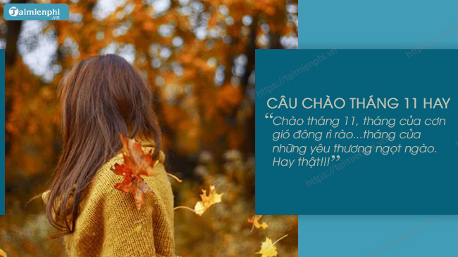 Chào tháng 11, câu nói, hình ảnh và STT hay về tháng 11