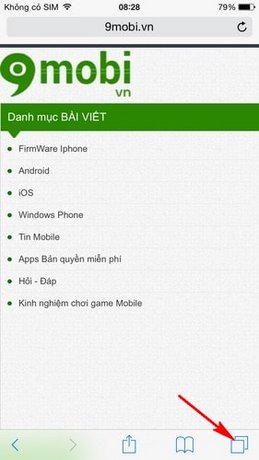 Duyệt web ẩn danh với Safari trên iPhone 6