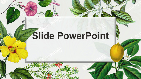 Mẫu slide Powerpoint bài giảng đẹp nhất cho thầy cô giáo