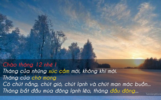 hinh anh chao thang 12 lam stt