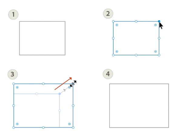 Hướng dẫn chỉnh sửa kích thước, vị trí, xoay, lật hình trong Adobe Illustrator