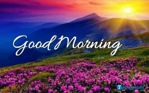 Những lời chào ngày mới hay nhất, nhiều người dùng Những Lời Chào Ngày Mới Hay Nhất, Nhiều Người Dùng