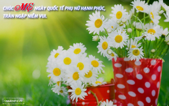 Lời chúc 8/3 ngắn gọn hay, ý nghĩa