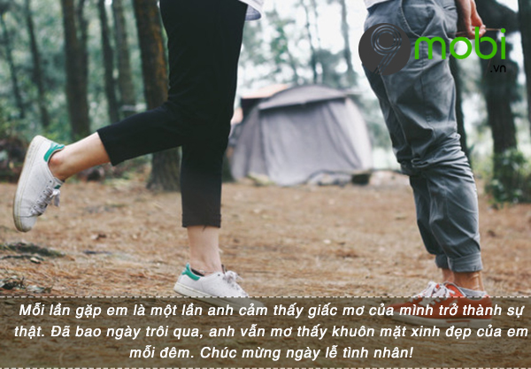 loi chuc ngay valentine cho ban gai tin nhan valentine lang man 2