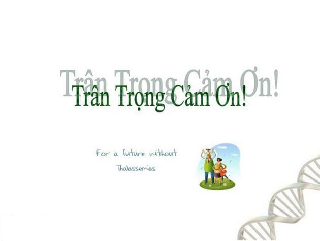 Mẫu Lời Cảm Ơn Trong Slide Powerpoint 2016, 2019, 2013, 2010, 2007