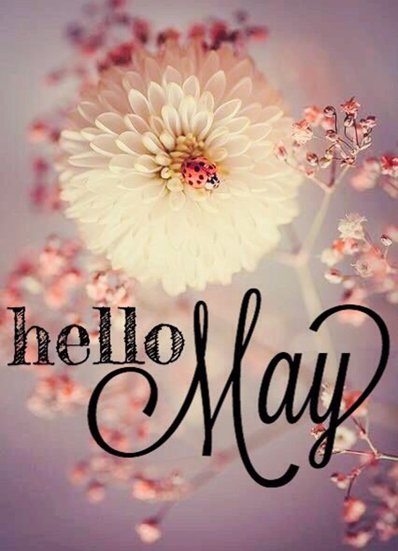 Hình ảnh tháng 5 đẹp, ảnh bìa Facebook chào tháng 5, Hello May