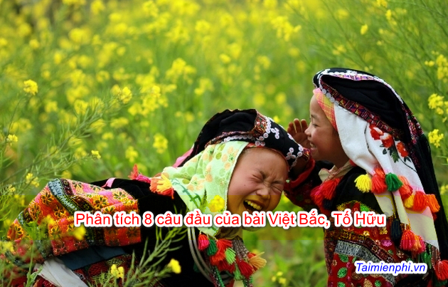 phan tich 8 cau tho dau trong bai viet bac