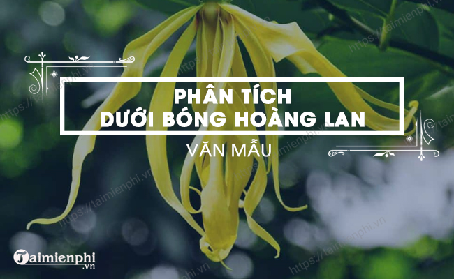 Dan y Phan tich Duoi bong hoang lan