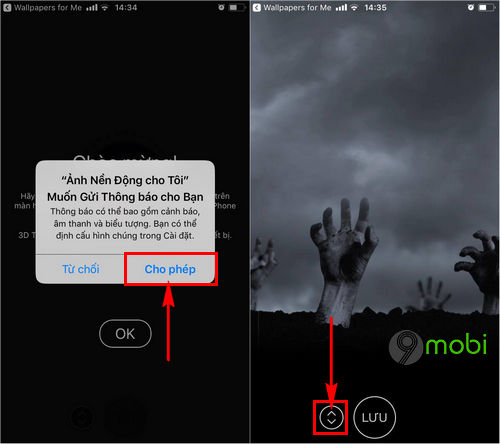 iFish Pond for iOS - Kho hình nền động cho iPhone, iPad -Kho hình nền