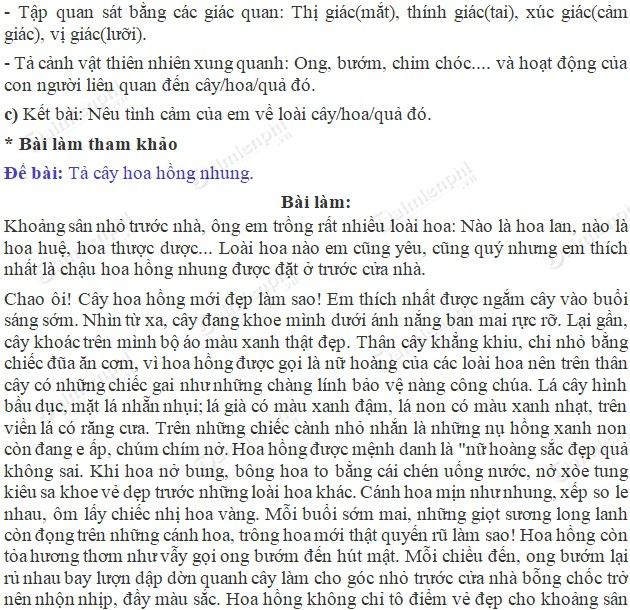 Soạn bài Tập làm văn: Tả cây cối (Kiểm tra viết) trang 99 SGK Tiếng Việt 5