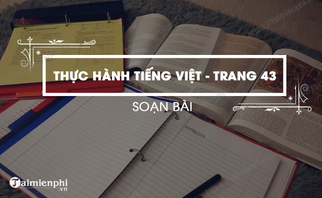 Thuc hanh tieng Viet lop 6 Canh dieu trang 47
