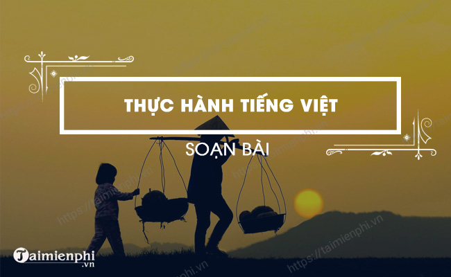 Thuc hanh tieng Viet lop 7 trang 47