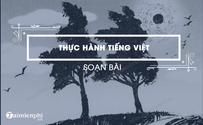 Thuc hanh tieng Viet lop 6 trang 72 tap 2