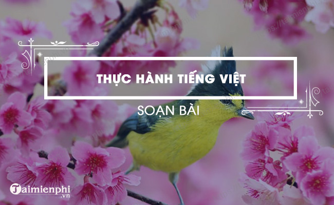 Soan bai Thuc hanh tieng Viet trang 92 hay nhat