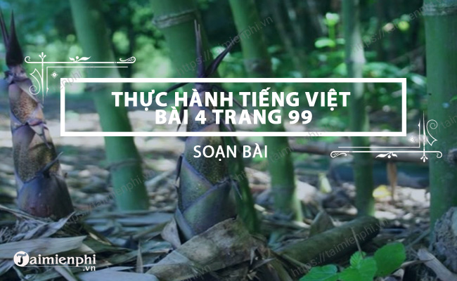 Thuc hanh tieng Viet lop 6 trang 99 100