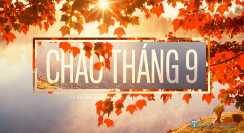 stt thang 9 2