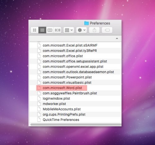 Sửa lỗi Microsoft Word has encountered a problem and needs to close trên Mac