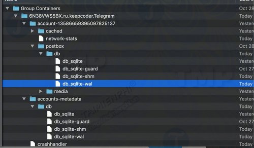 telegram cho desktop luu cac cuoc tro chuyen duoi dang plain text 2
