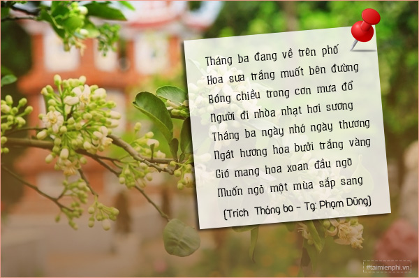 tho ve huong thom