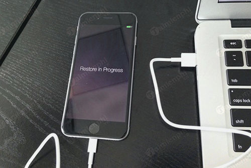 Giá Sửa IPhone 6 Plus Bị Loạn Cảm ứng Chính Hãng Apple 09/2023